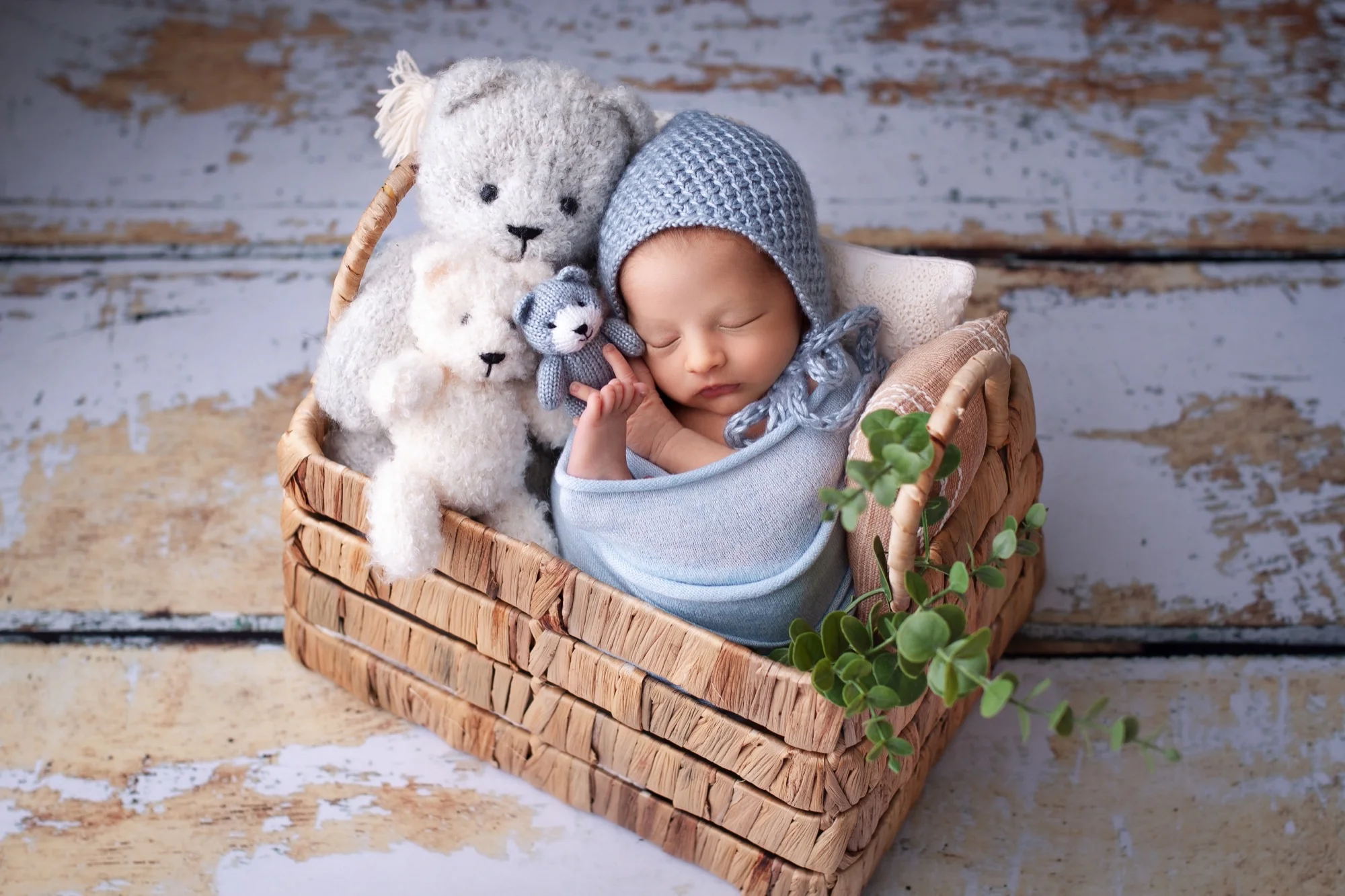 Newborn Photography